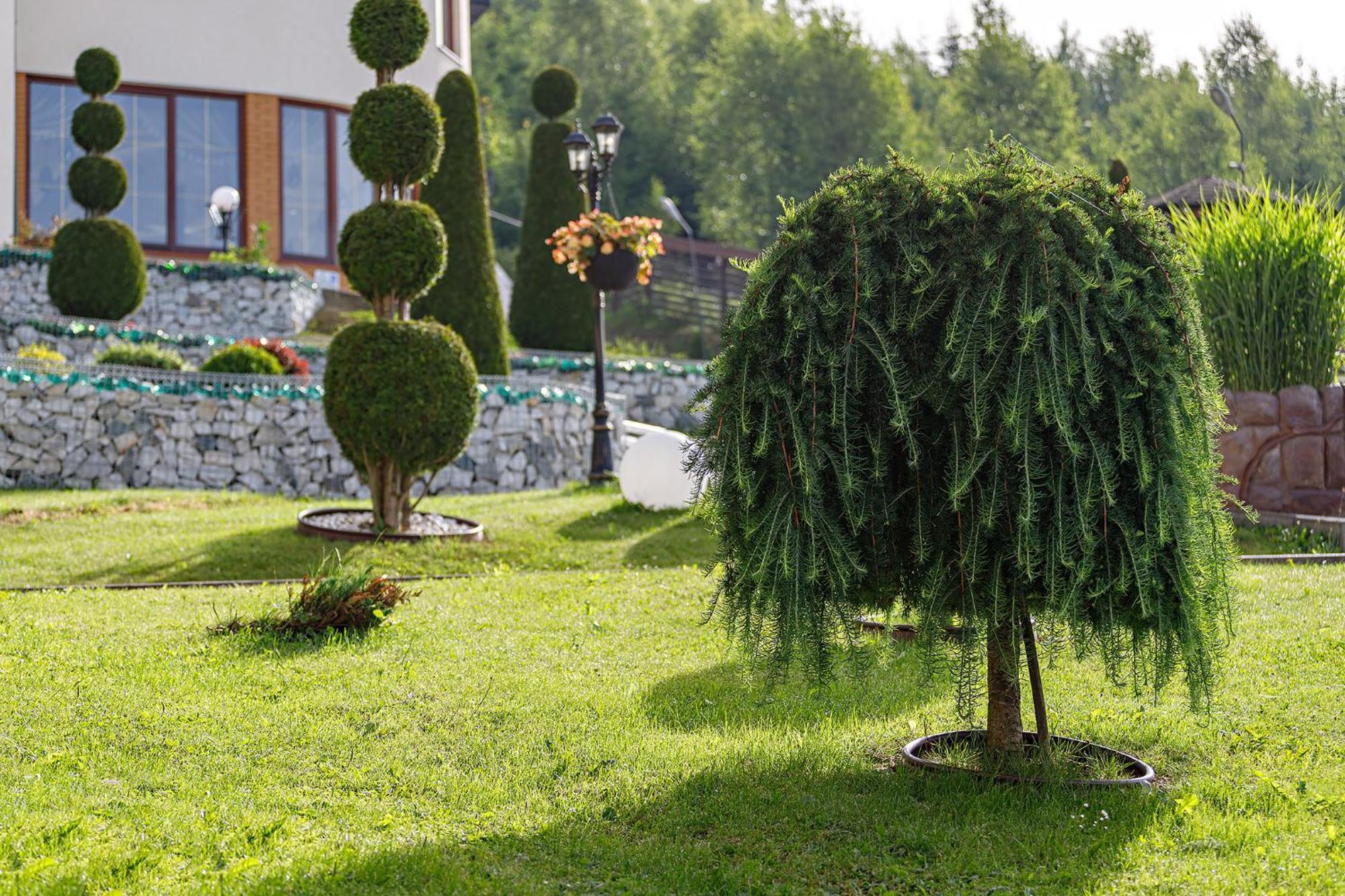 Hotel Podgorie Spa Bukovel Extérieur photo